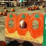 Eagle Fork Farms Pumpkins & Gifts photo