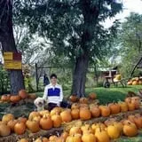 Eagle Fork Farms Pumpkins & Gifts photo