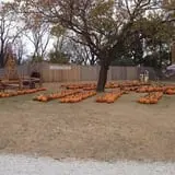 Eagle Fork Farms Pumpkins & Gifts photo