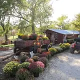 Eagle Fork Farms Pumpkins & Gifts photo