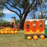 Eagle Fork Farms Pumpkins & Gifts photo