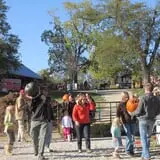 Eagle Fork Farms Pumpkins & Gifts photo
