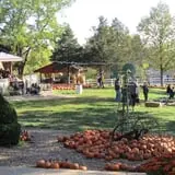 Eagle Fork Farms Pumpkins & Gifts photo