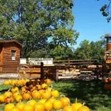 Eagle Fork Farms Pumpkins & Gifts photo