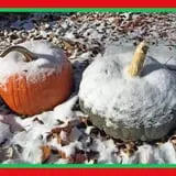 Eagle Fork Farms Pumpkins & Gifts photo