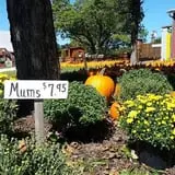 Eagle Fork Farms Pumpkins & Gifts photo