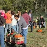 Eagle Fork Farms Pumpkins & Gifts photo