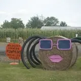 Mulberry Corners Pumpkin Patch photo
