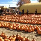 Mulberry Corners Pumpkin Patch photo