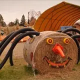 Mulberry Corners Pumpkin Patch photo
