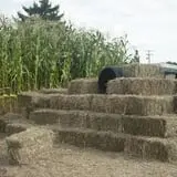Mulberry Corners Pumpkin Patch photo