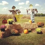 Chaney's Dairy Barn photo