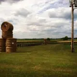 Chaney's Dairy Barn photo