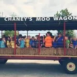 Chaney's Dairy Barn photo