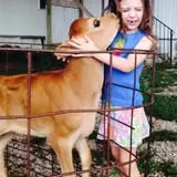 Chaney's Dairy Barn photo
