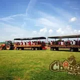 Chaney's Dairy Barn photo