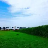 Chaney's Dairy Barn photo