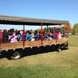 Chaney's Dairy Barn photo