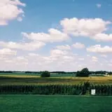 Chaney's Dairy Barn photo