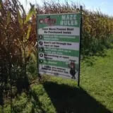 Chaney's Dairy Barn photo