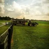 Chaney's Dairy Barn photo