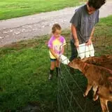 Chaney's Dairy Barn photo