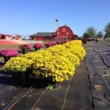 Chaney's Dairy Barn photo
