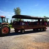 Chaney's Dairy Barn photo