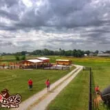 Chaney's Dairy Barn photo