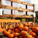 Chaney's Dairy Barn photo