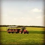 Chaney's Dairy Barn photo