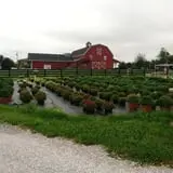 Chaney's Dairy Barn photo