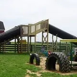 Chaney's Dairy Barn photo