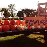 Chaney's Dairy Barn photo