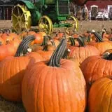 Spicer Orchards Farm Market & Winery photo