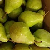 Spicer Orchards Farm Market & Winery photo
