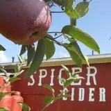 Spicer Orchards Farm Market & Winery photo