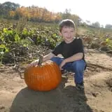 Spicer Orchards Farm Market & Winery photo