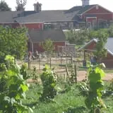 Spicer Orchards Farm Market & Winery photo