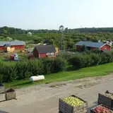 Spicer Orchards Farm Market & Winery photo