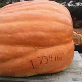 Spicer Orchards Farm Market & Winery photo