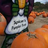 Spicer Orchards Farm Market & Winery photo