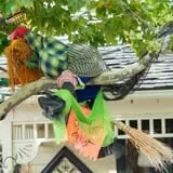 WitchFest and Witches Night Out at Gardner Village photo