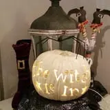 WitchFest and Witches Night Out at Gardner Village photo