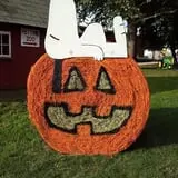 Catalpa Grove Farm photo