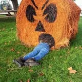 Catalpa Grove Farm photo