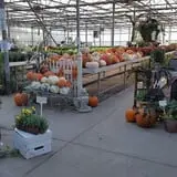 Catalpa Grove Farm photo