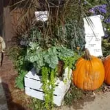 Catalpa Grove Farm photo