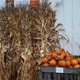 Catalpa Grove Farm photo