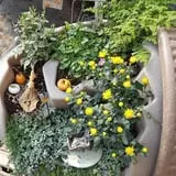 Catalpa Grove Farm photo